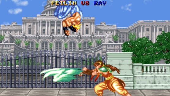 Screenshot for Fighter's History