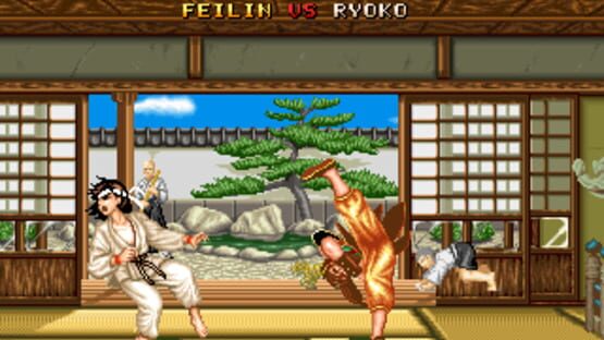Screenshot for Fighter's History