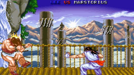 Screenshot for Fighter's History