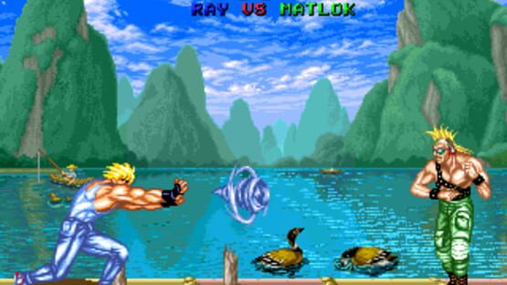 Screenshot for Fighter's History