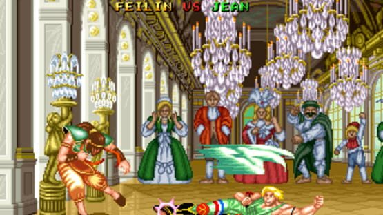 Screenshot for Fighter's History
