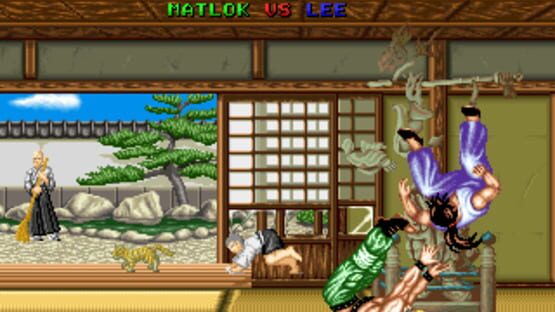 Screenshot for Fighter's History