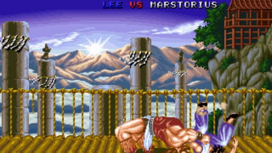 Screenshot for Fighter's History