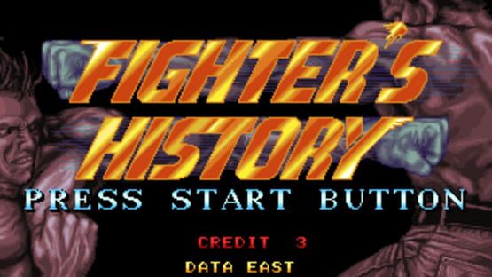 Screenshot for Fighter's History
