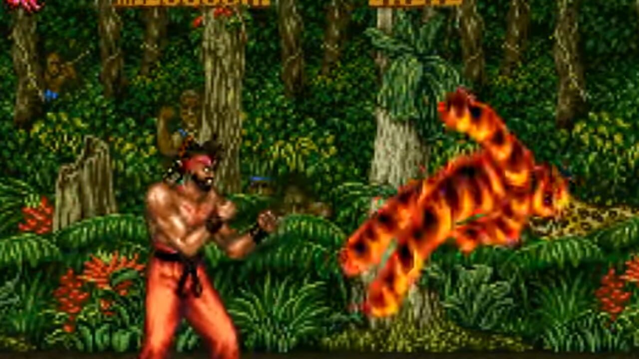 Screenshot for Fighter's History 2
