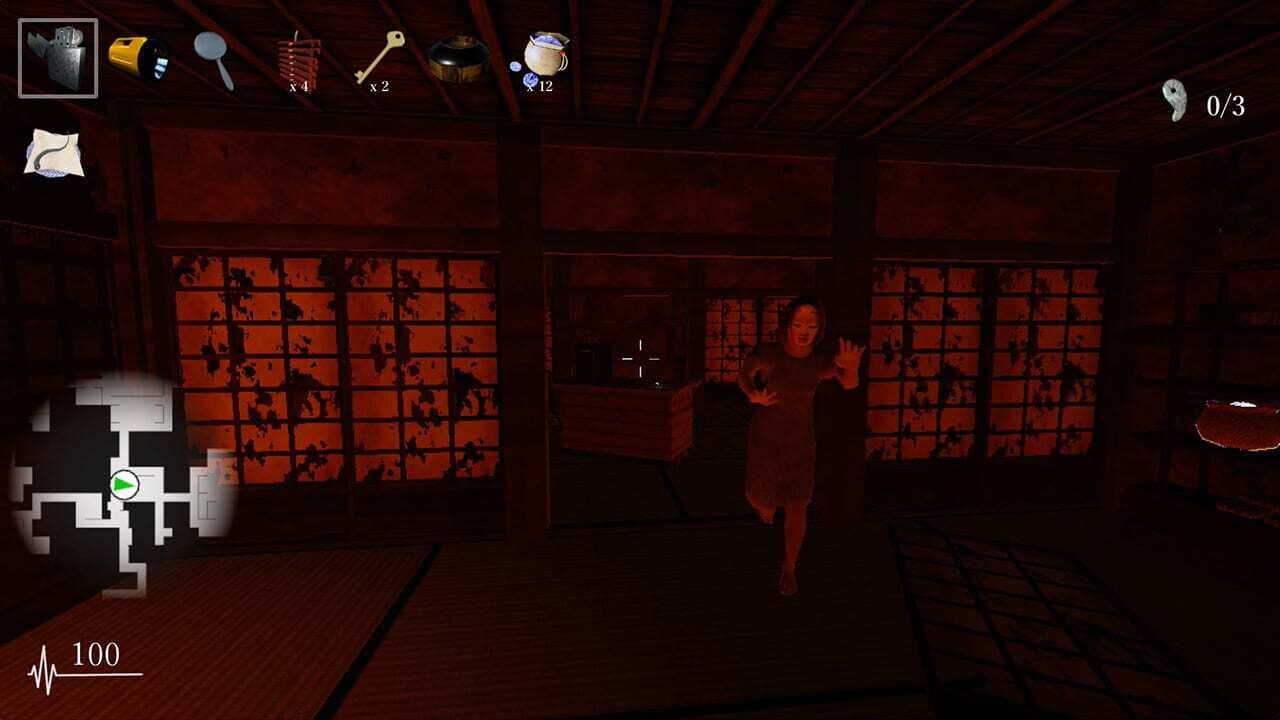 Screenshot for Shadow Corridor