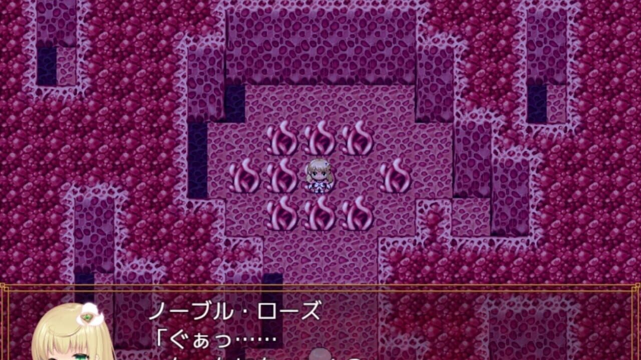 Screenshot for Magical Girl Noble Rose