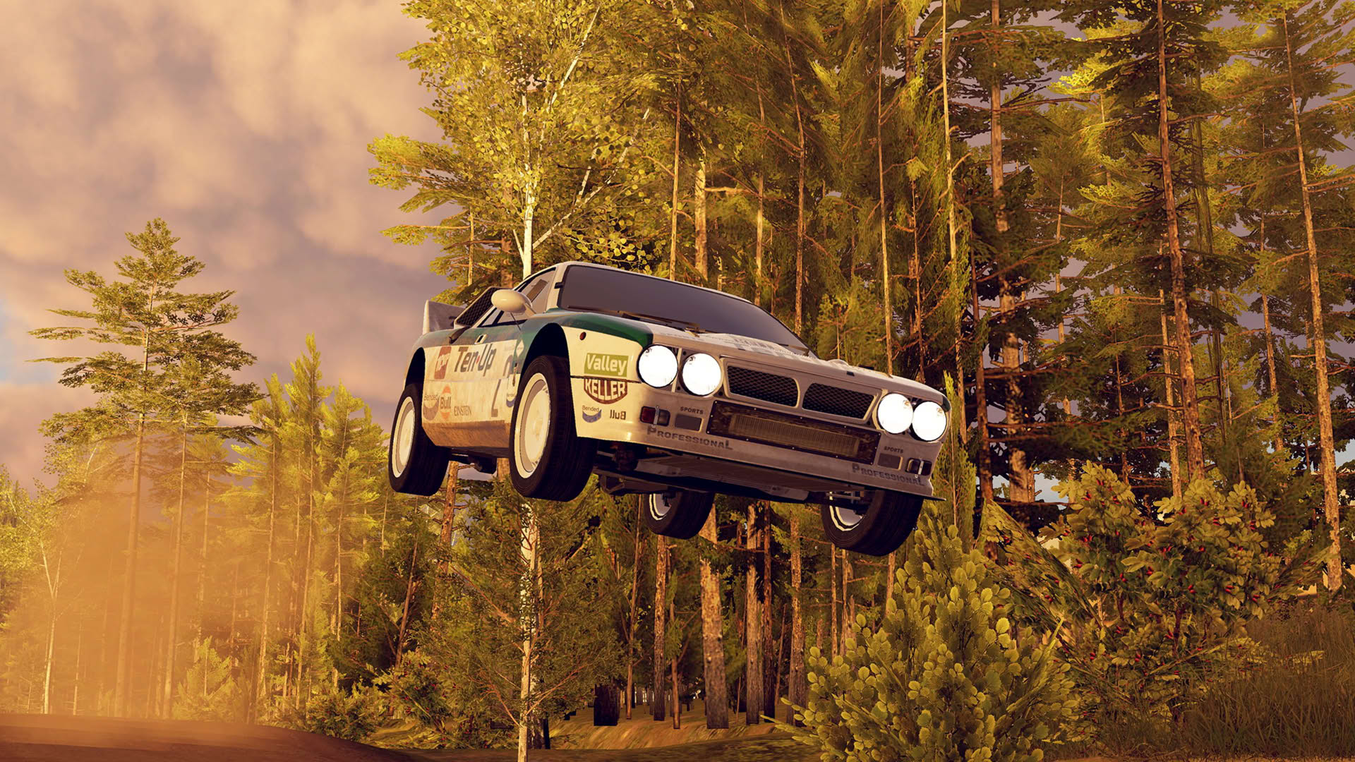 Screenshot for CarX Rally