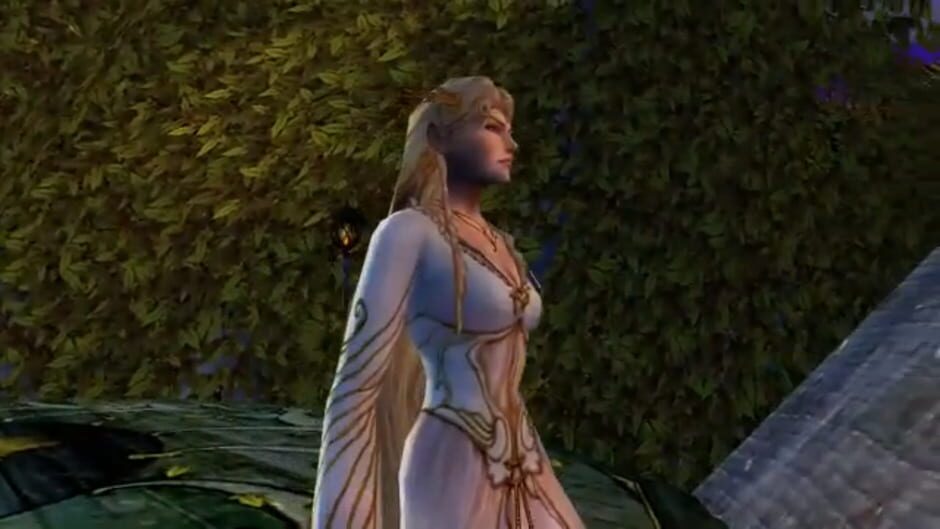 Screenshot for The Lord of the Rings Online: Siege of Mirkwood
