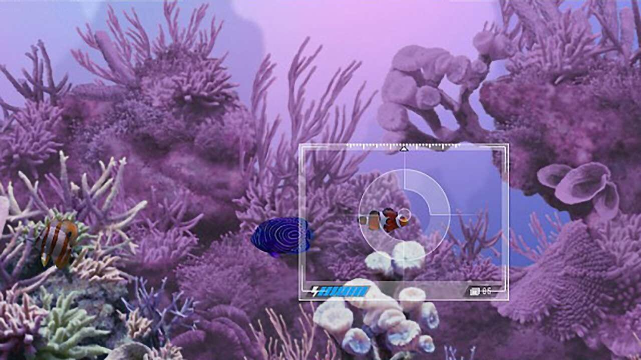 Screenshot for Caribbean Sea Fishes
