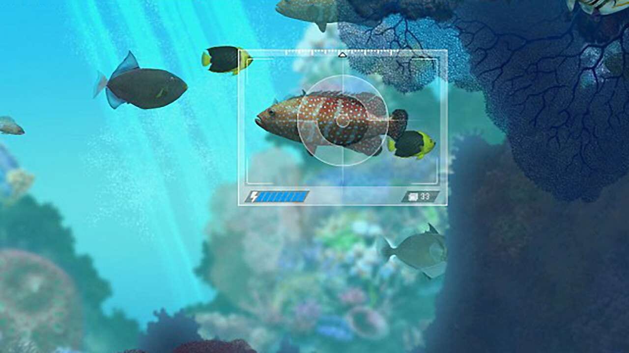 Screenshot for Caribbean Sea Fishes
