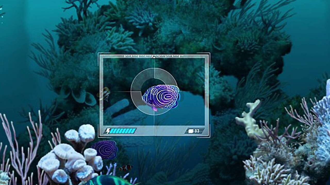 Screenshot for Caribbean Sea Fishes