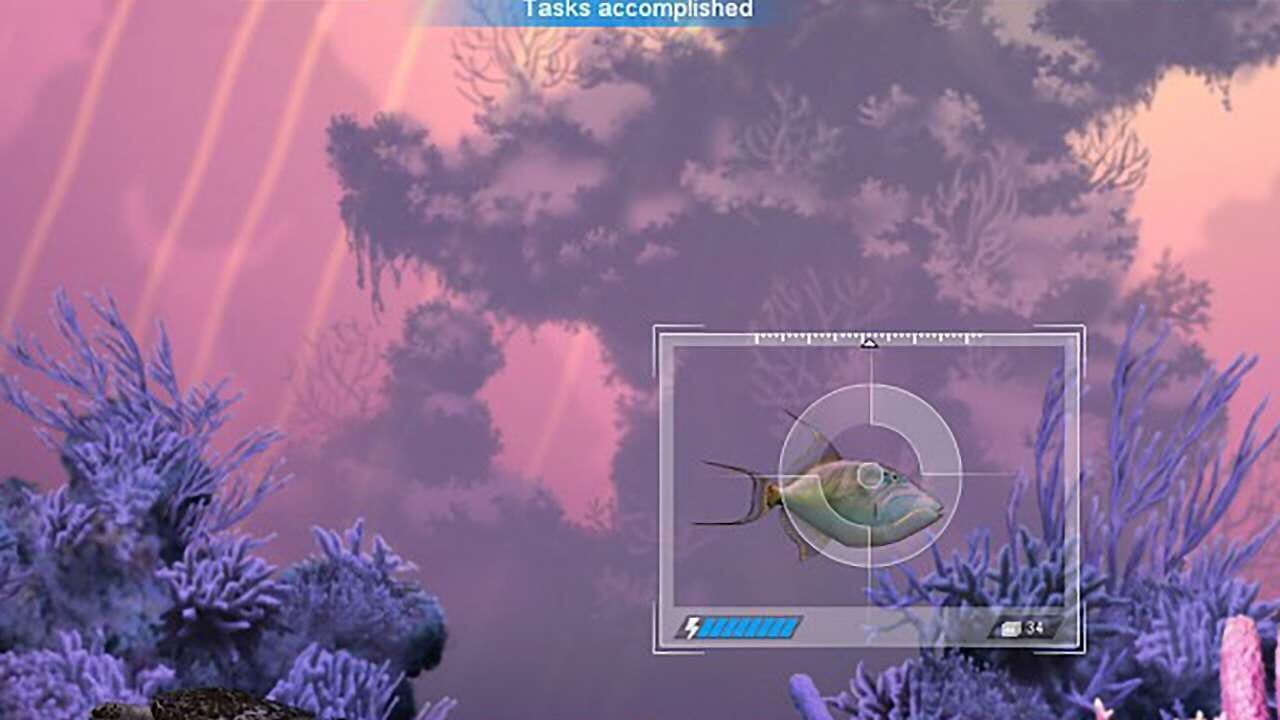 Screenshot for Caribbean Sea Fishes