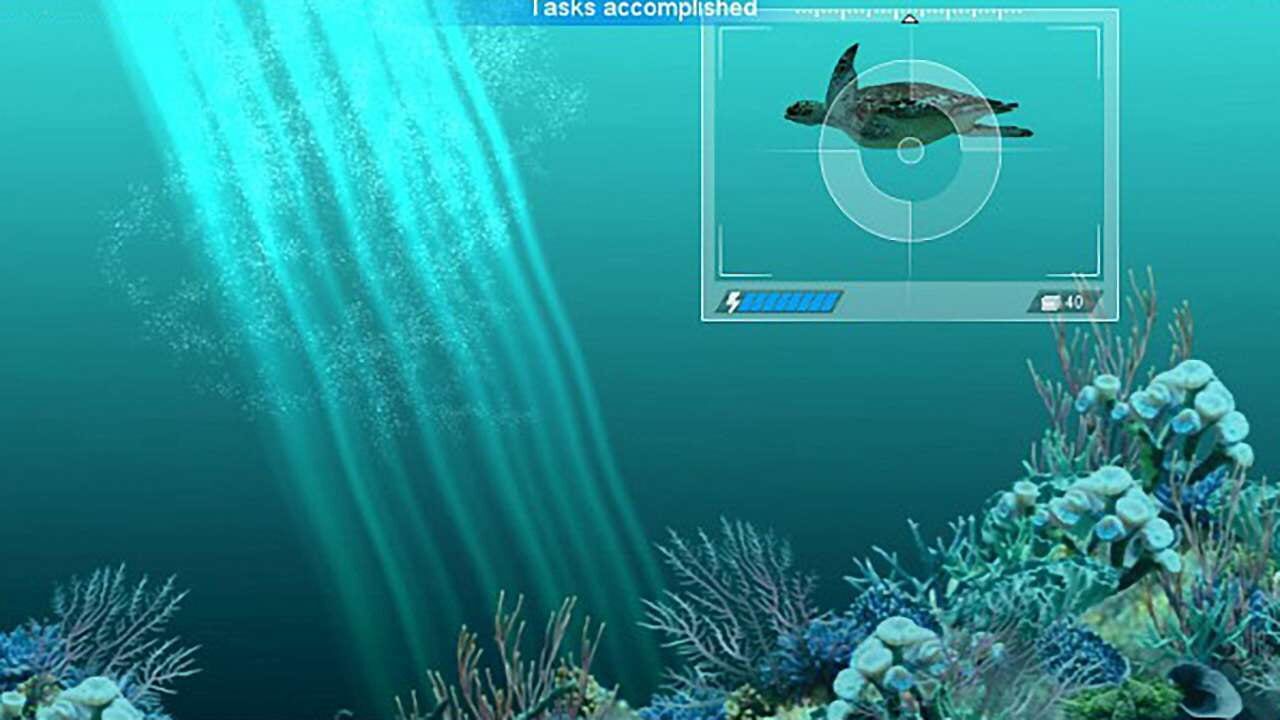 Screenshot for Caribbean Sea Fishes