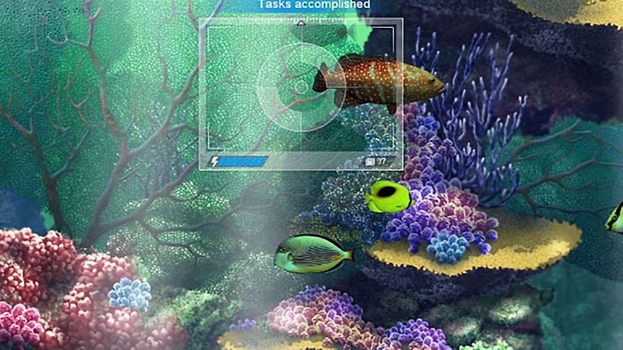 Screenshot for Caribbean Sea Fishes