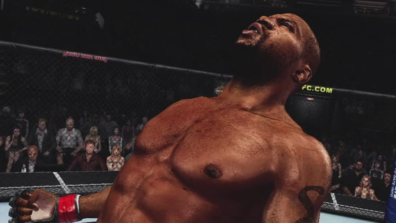 Screenshot for UFC 2009 Undisputed