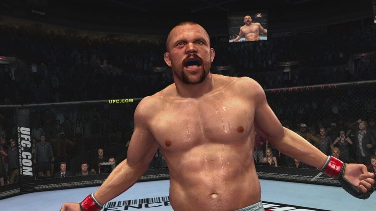 Screenshot for UFC 2009 Undisputed