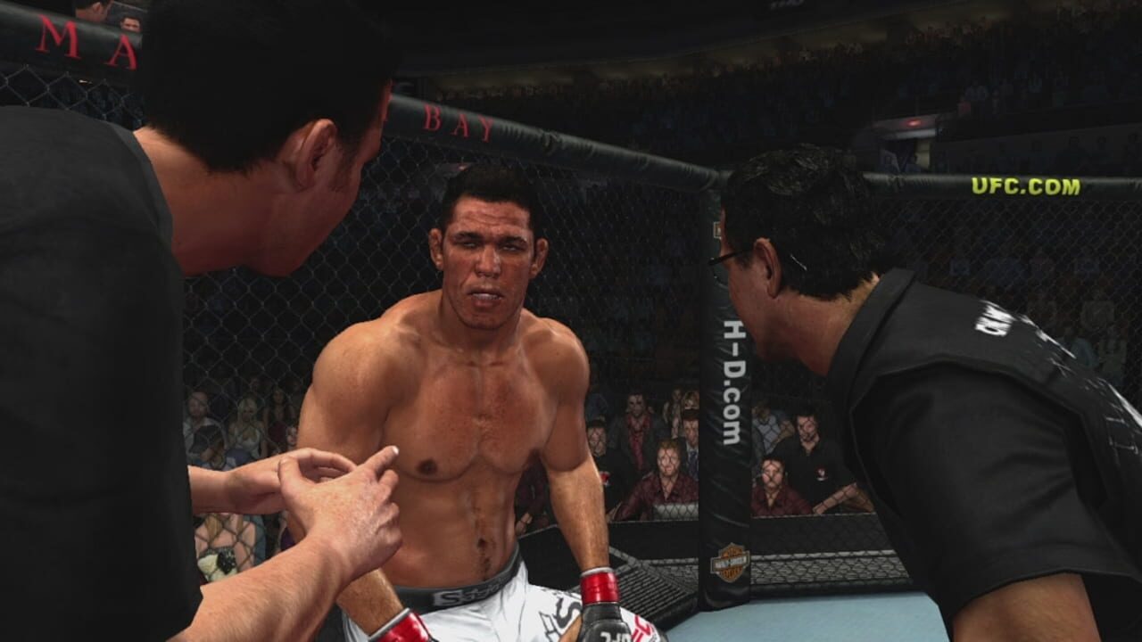 Screenshot for UFC 2009 Undisputed