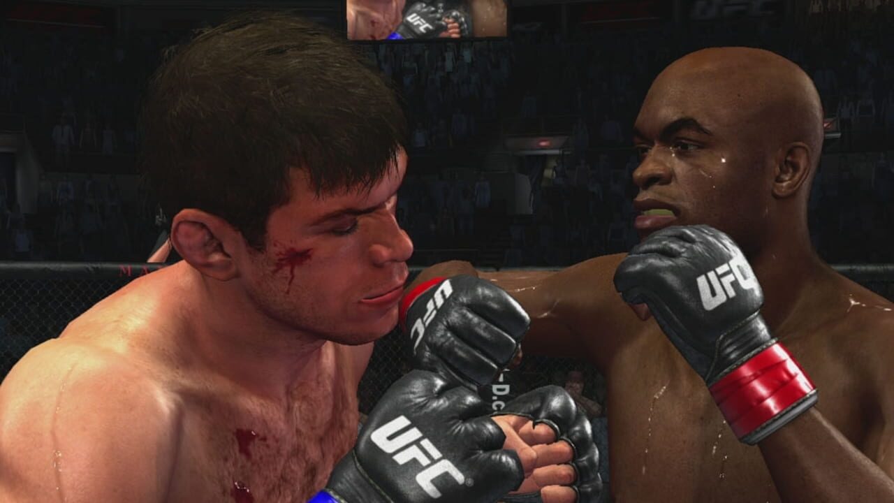 Screenshot for UFC 2009 Undisputed