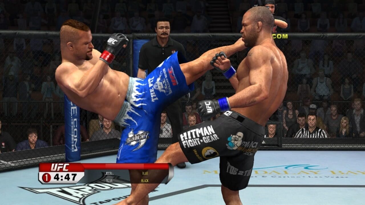 Screenshot for UFC 2009 Undisputed