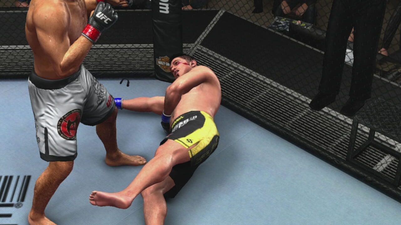 Screenshot for UFC 2009 Undisputed