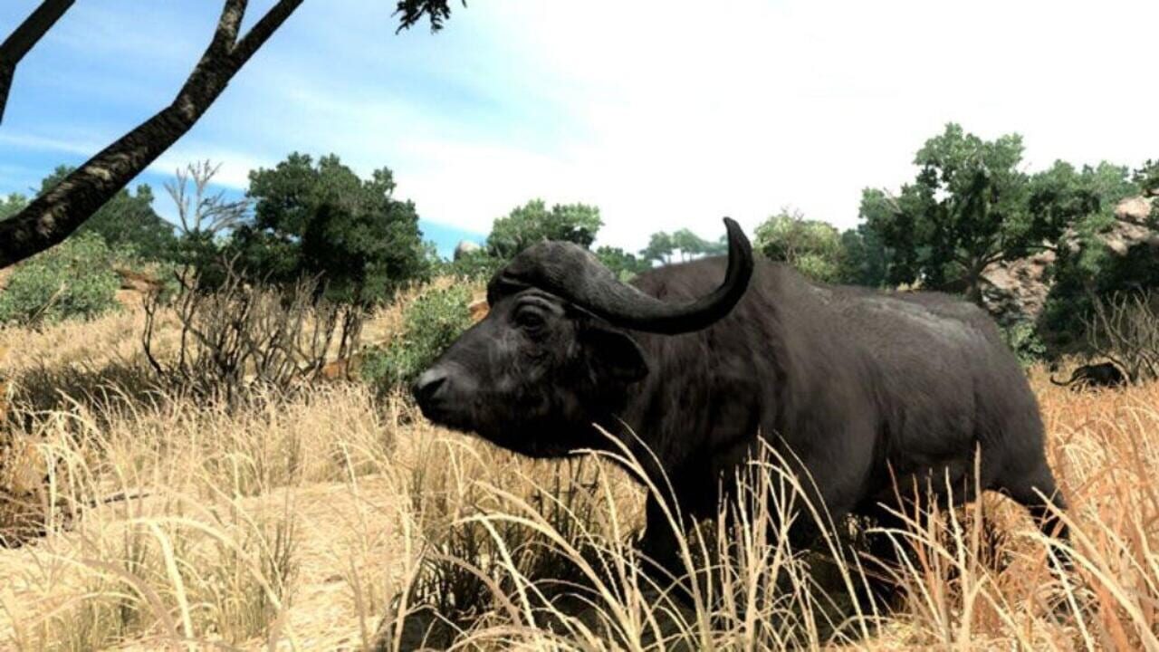 Screenshot for Cabela's Big Game Hunter 2010