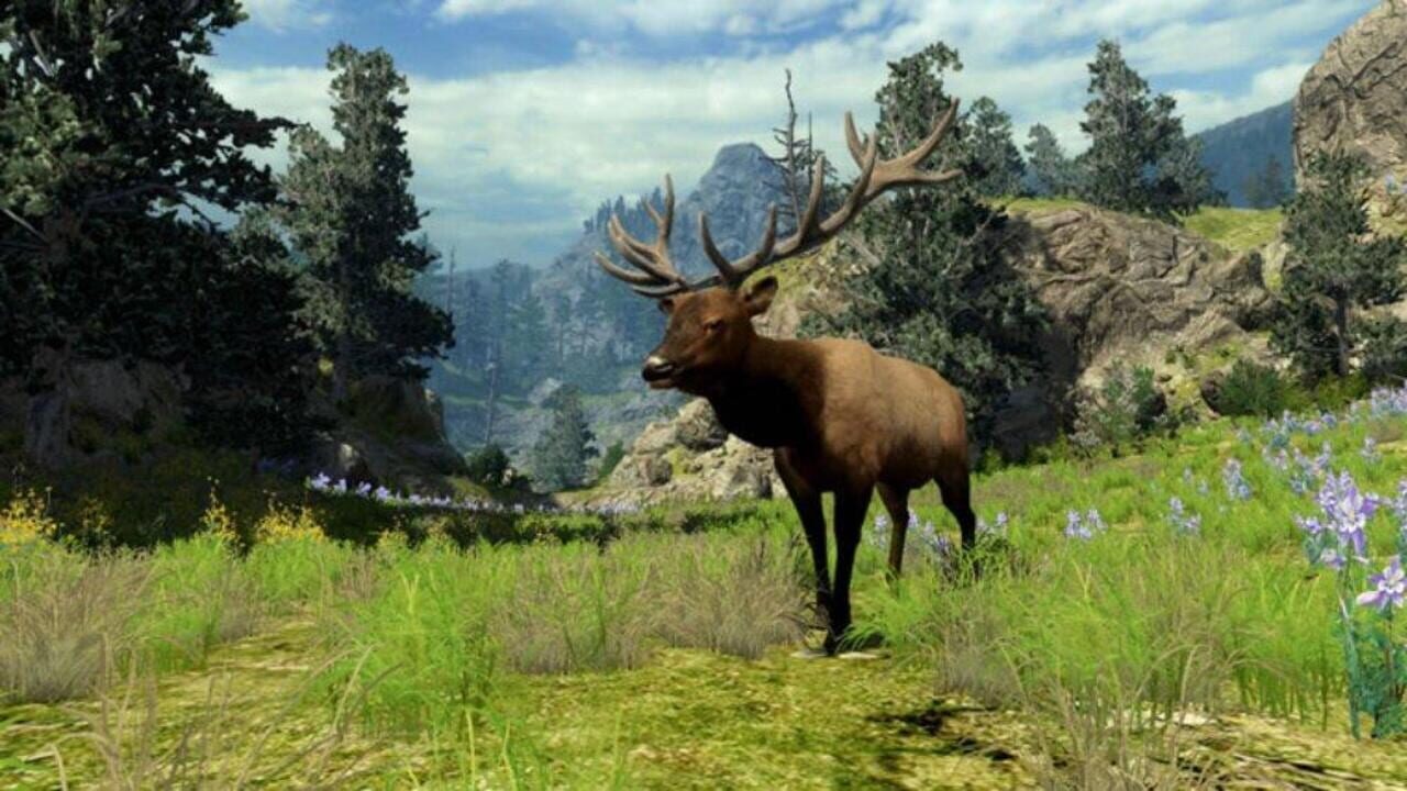 Screenshot for Cabela's Big Game Hunter 2010