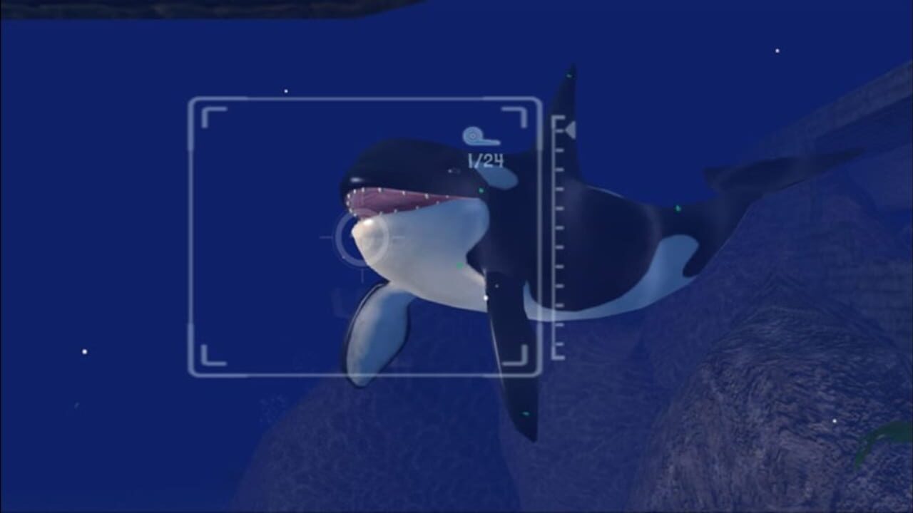 Screenshot for Sealife Safari