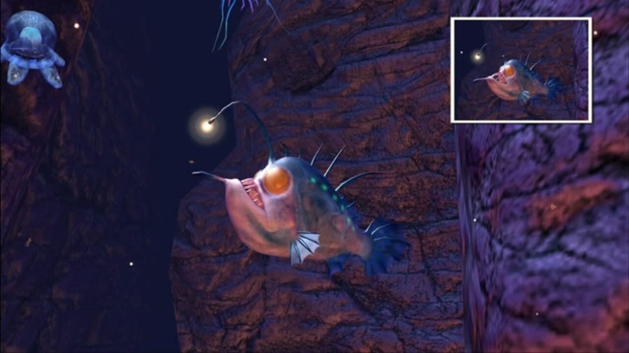 Screenshot for Sealife Safari