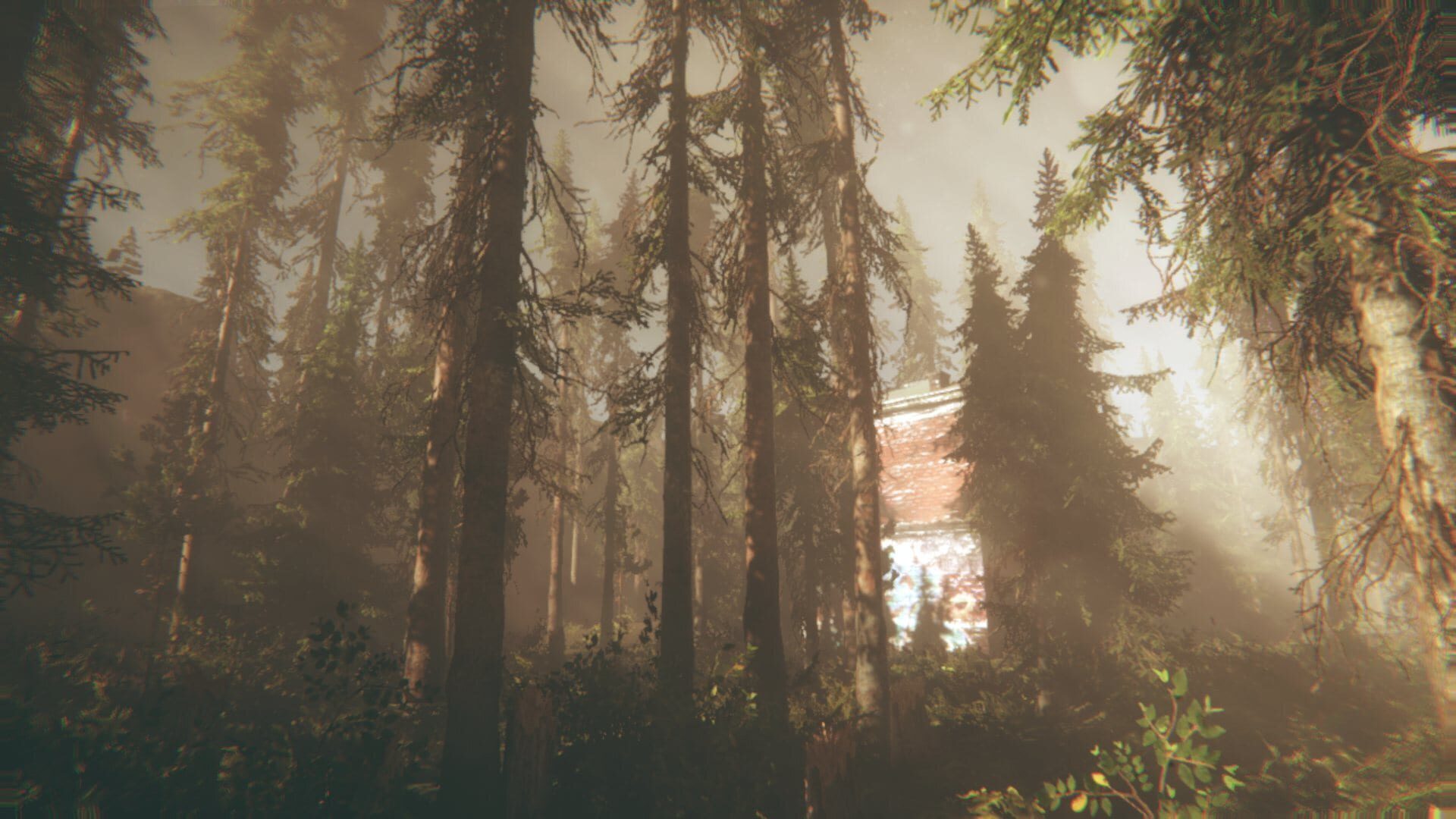Screenshot for Rot: Purgatory Hill
