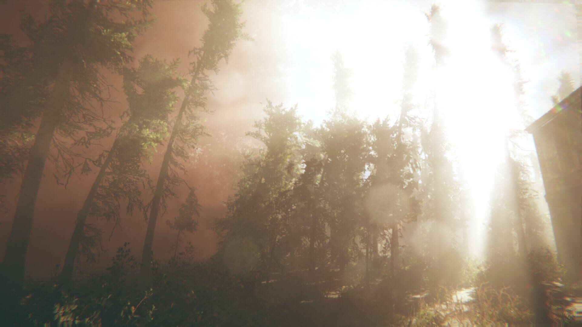 Screenshot for Rot: Purgatory Hill