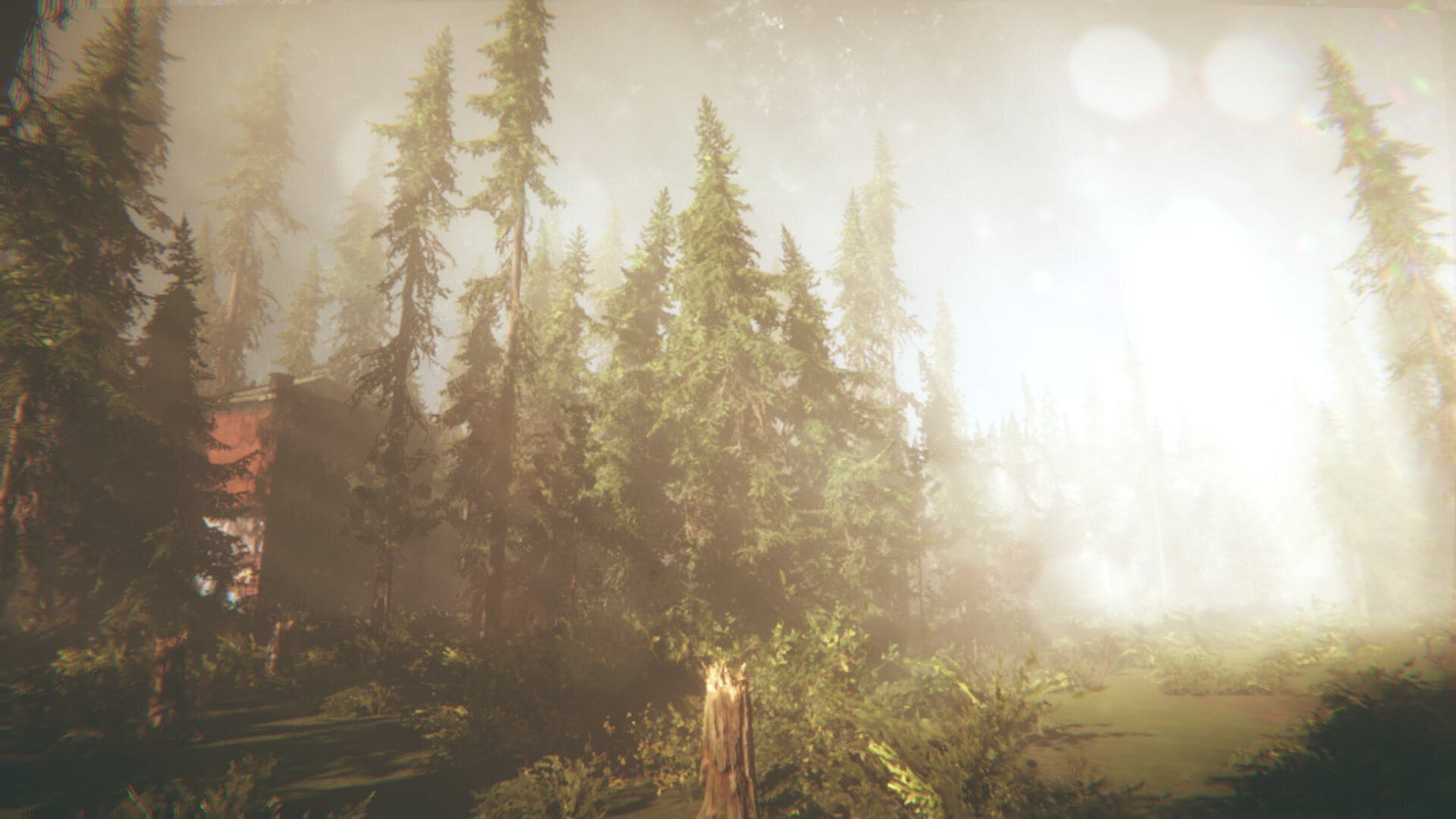 Screenshot for Rot: Purgatory Hill