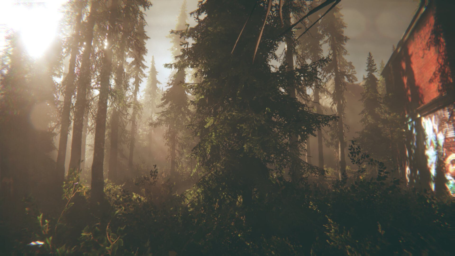 Screenshot for Rot: Purgatory Hill