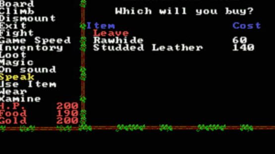 Screenshot for Questron II