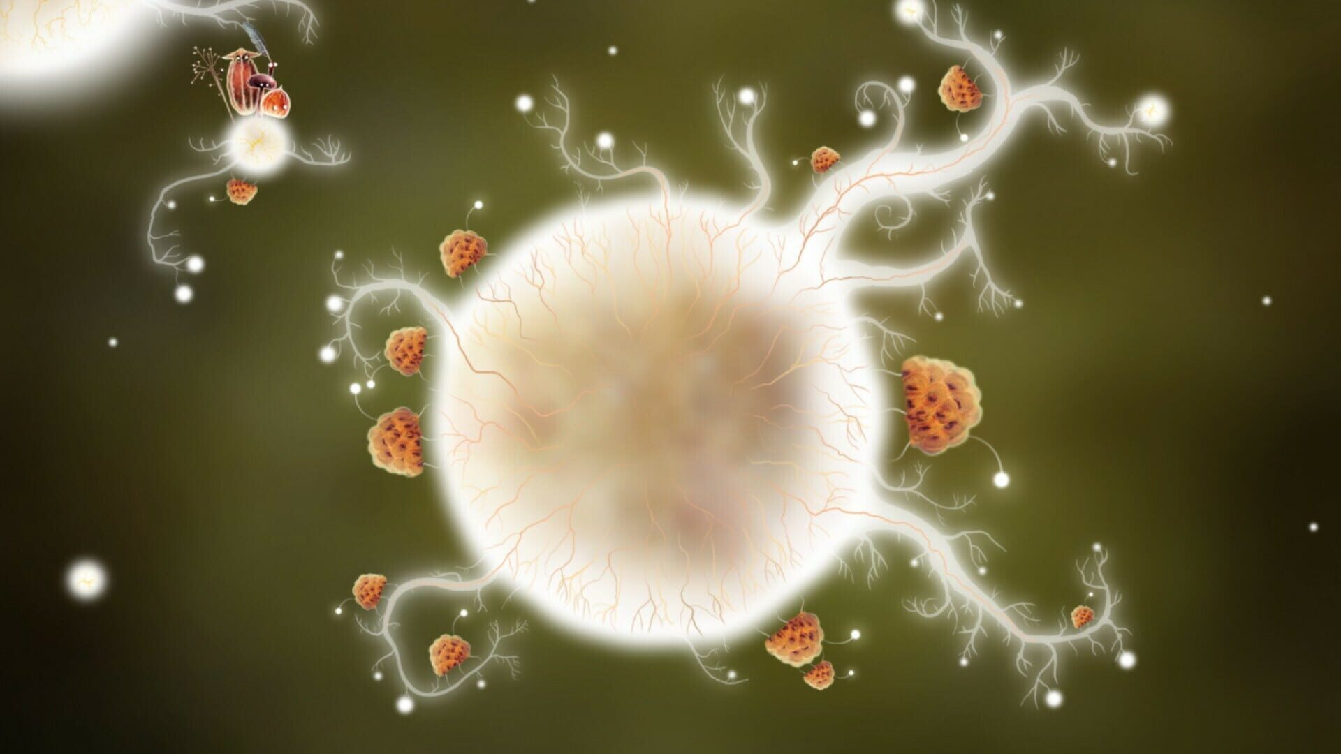 Screenshot for Botanicula