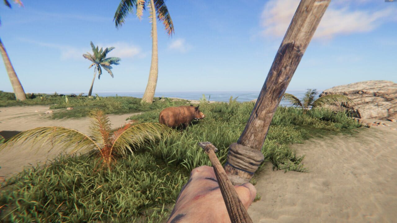 Screenshot for Project Castaway