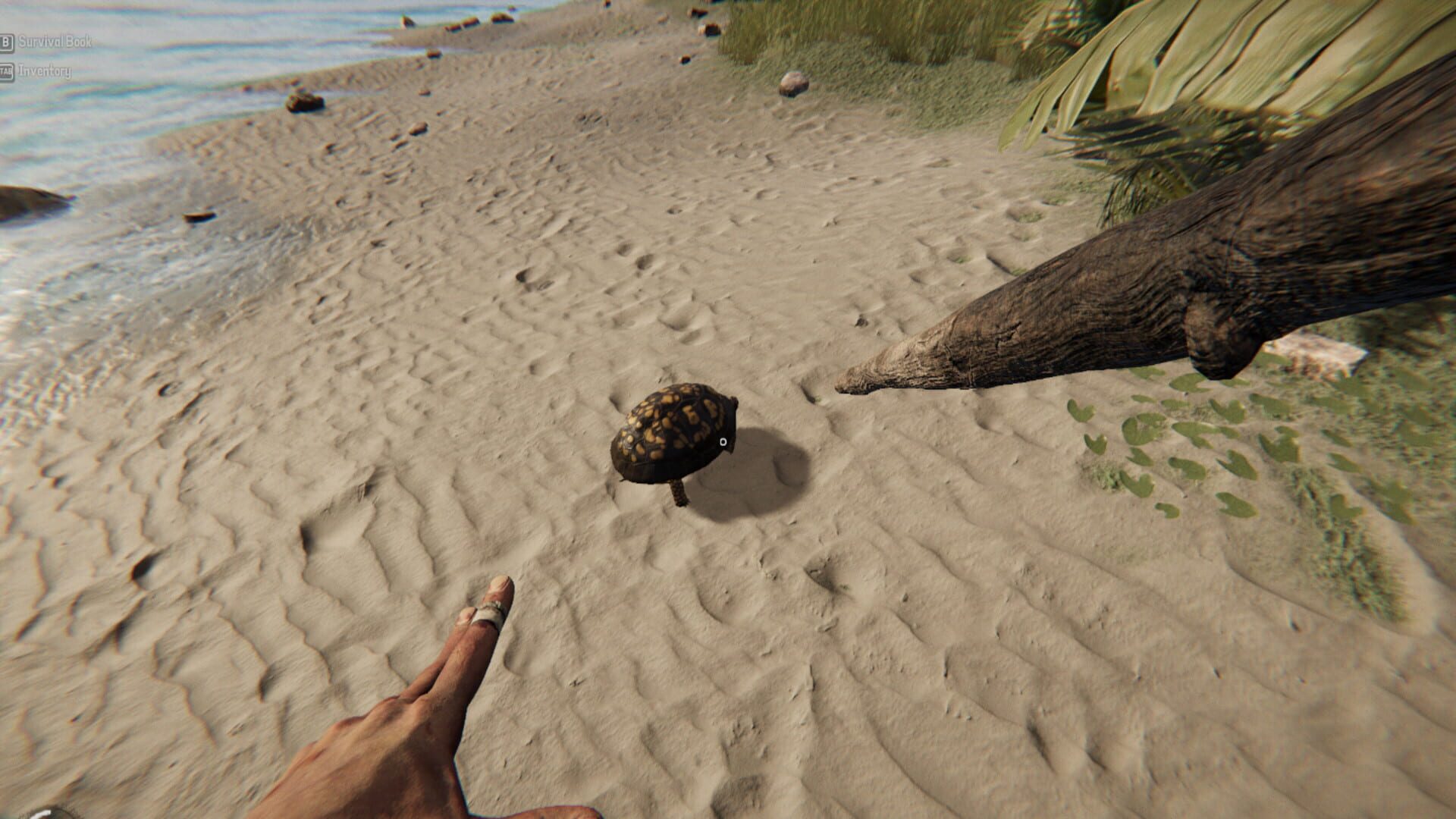 Screenshot for Project Castaway