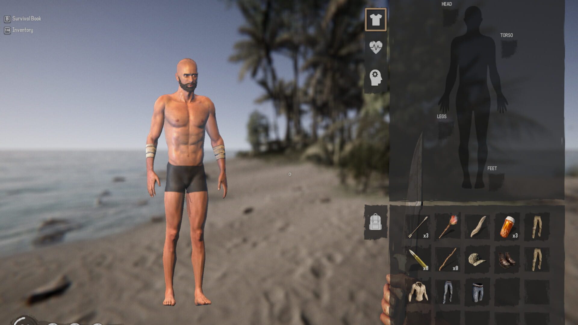 Screenshot for Project Castaway