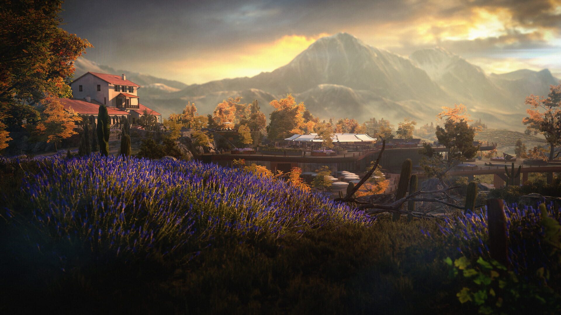 Screenshot for Hitman 3: Mendoza