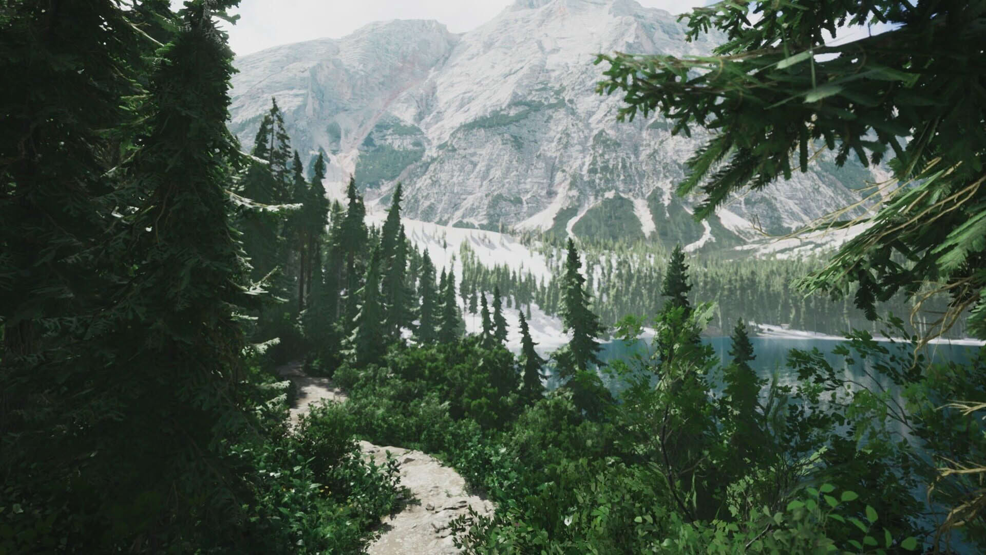 Screenshot for Lushfoil Photography Sim
