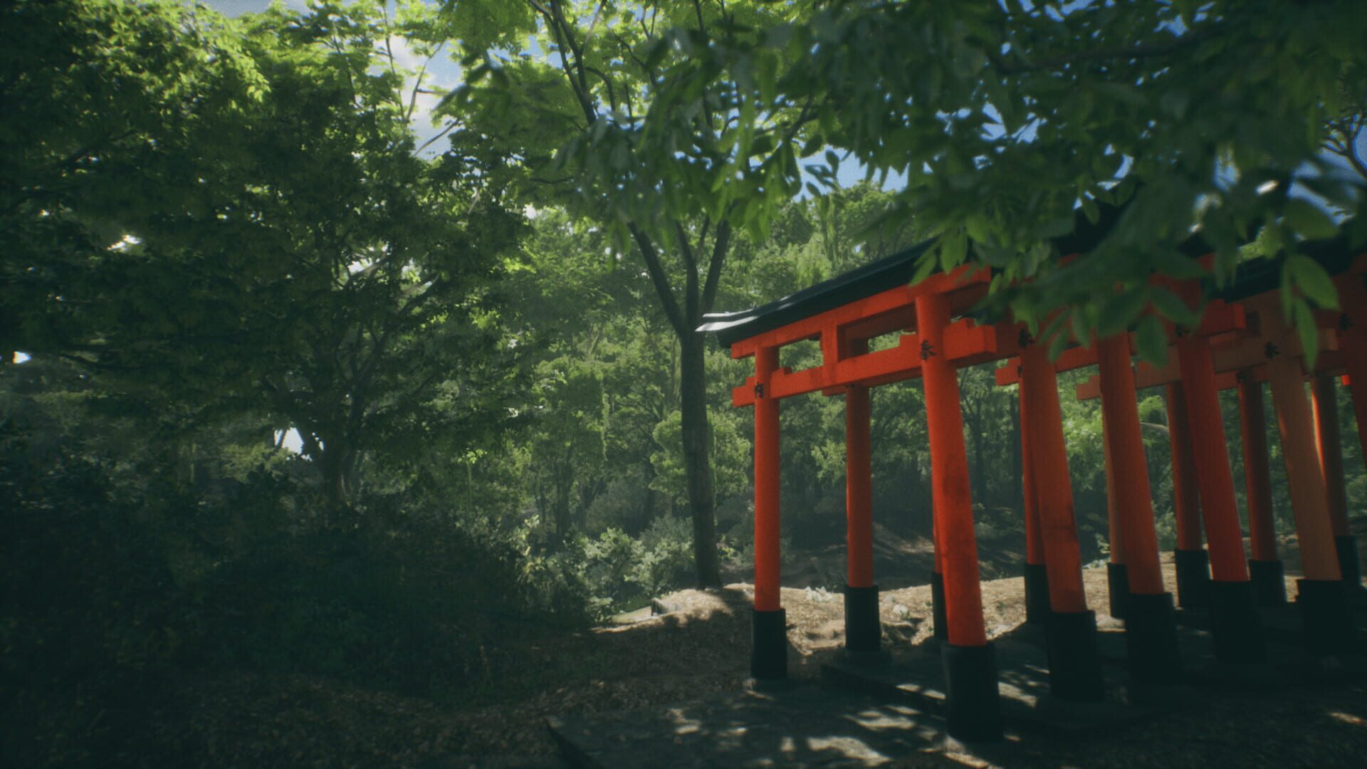 Screenshot for Lushfoil Photography Sim
