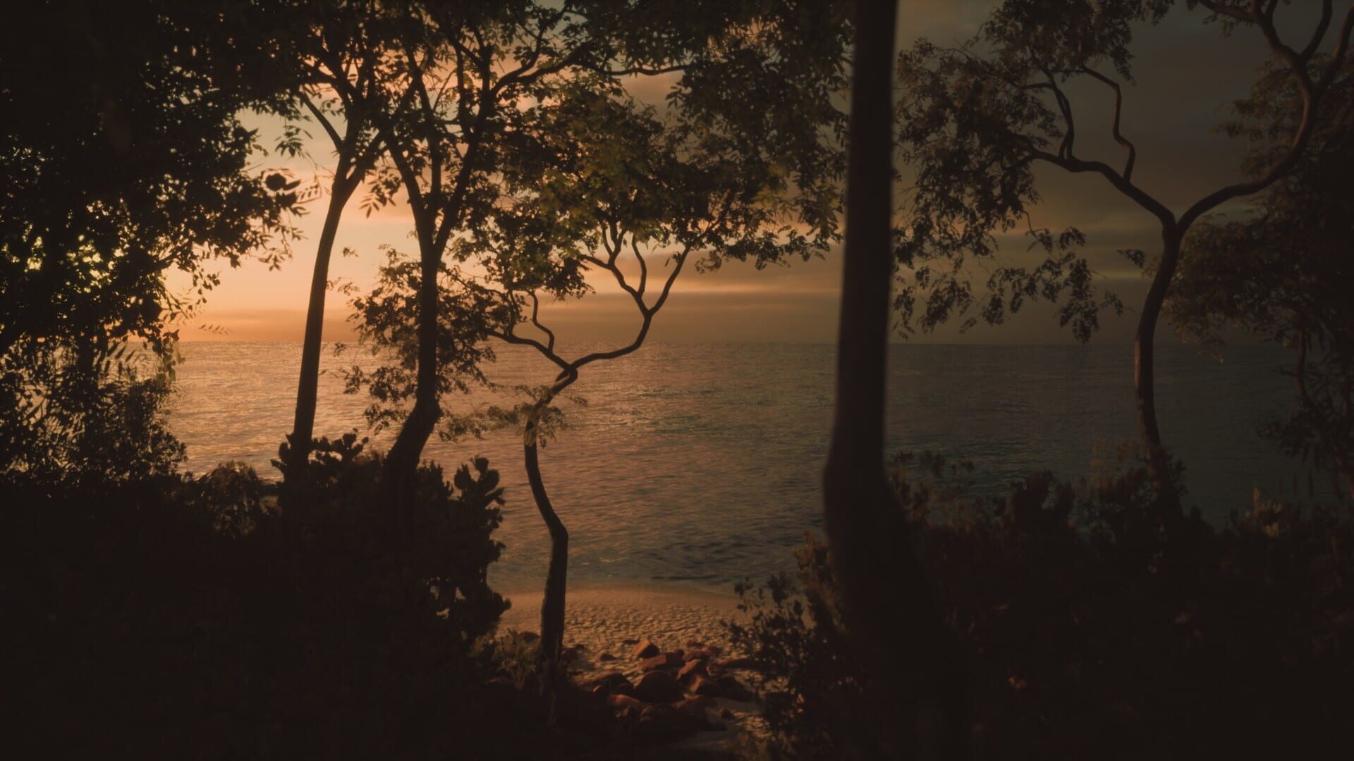 Screenshot for Lushfoil Photography Sim
