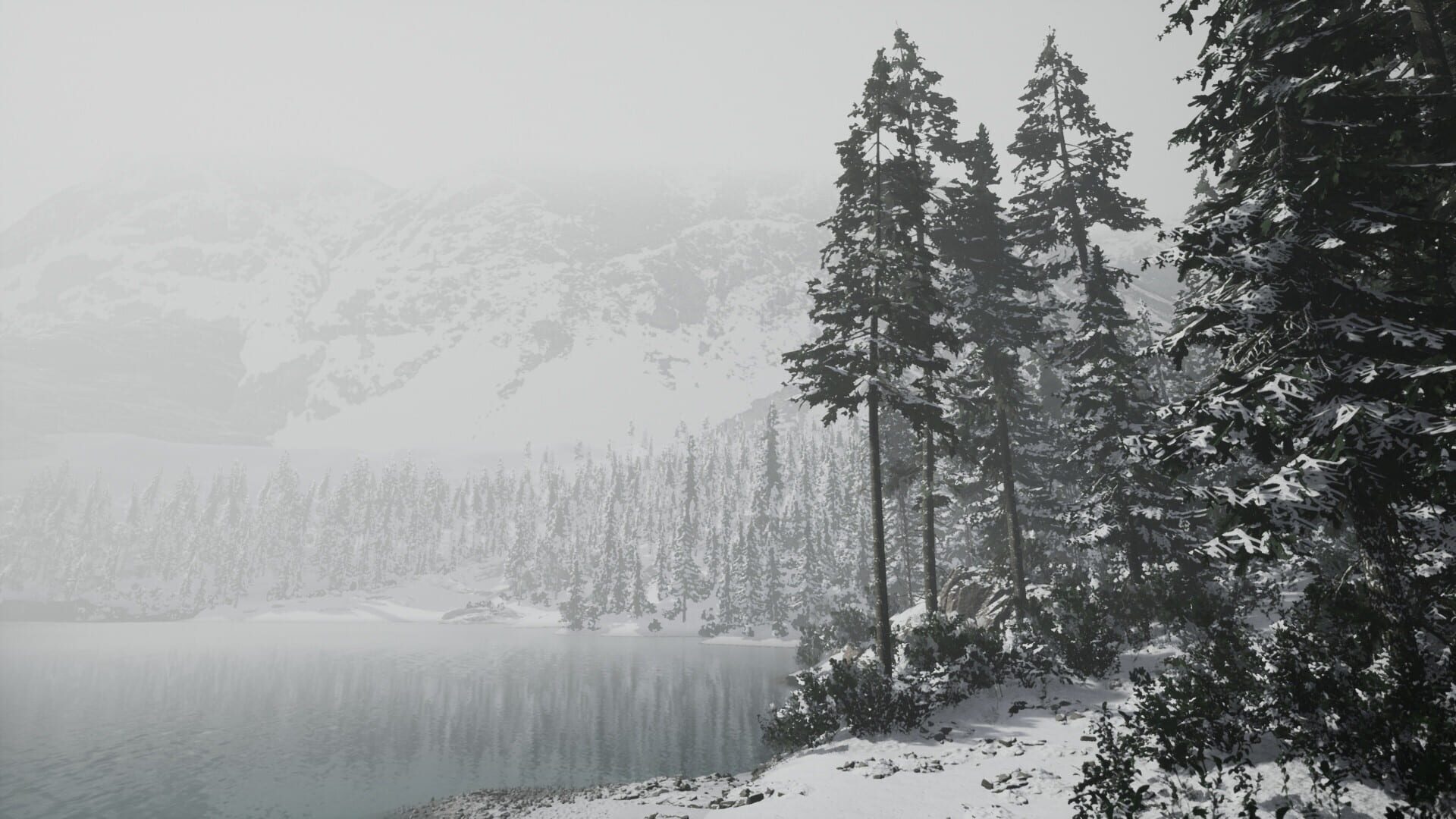 Screenshot for Lushfoil Photography Sim