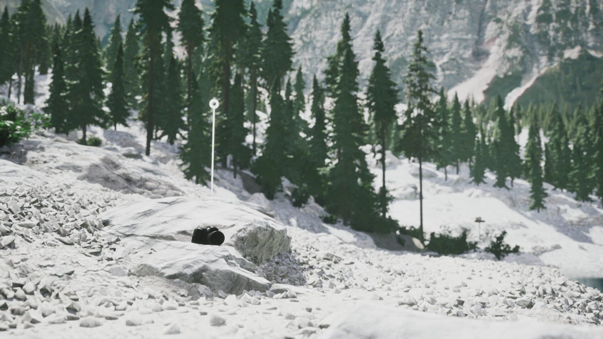 Screenshot for Lushfoil Photography Sim