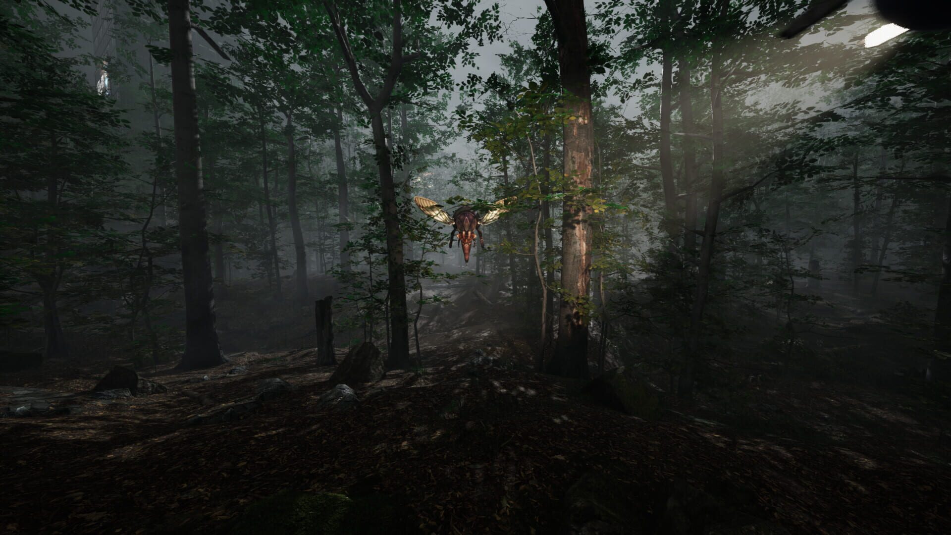 Screenshot for Remoteness