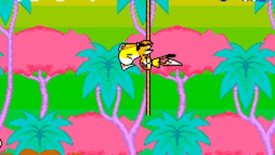Screenshot for Chester Cheetah: Too Cool to Fool