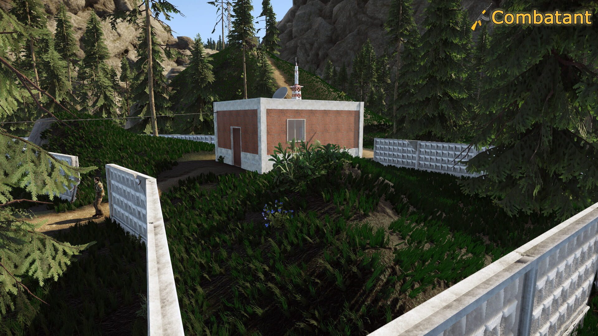 Screenshot for Combatant