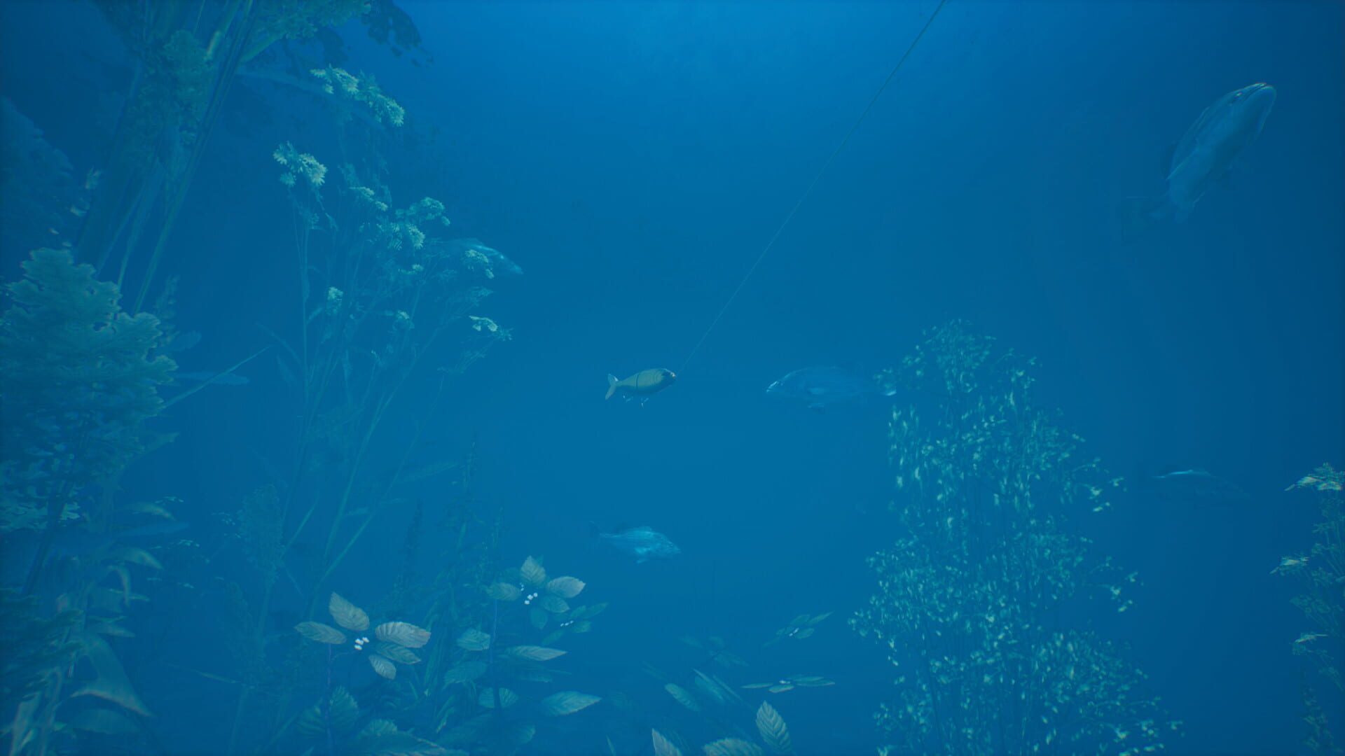Screenshot for Bassmaster Fishing 2022: Lake Hartwell