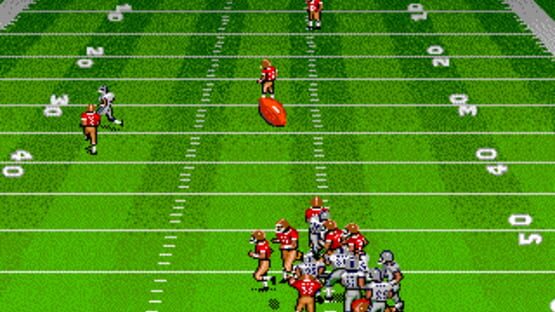Screenshot for Madden NFL '94