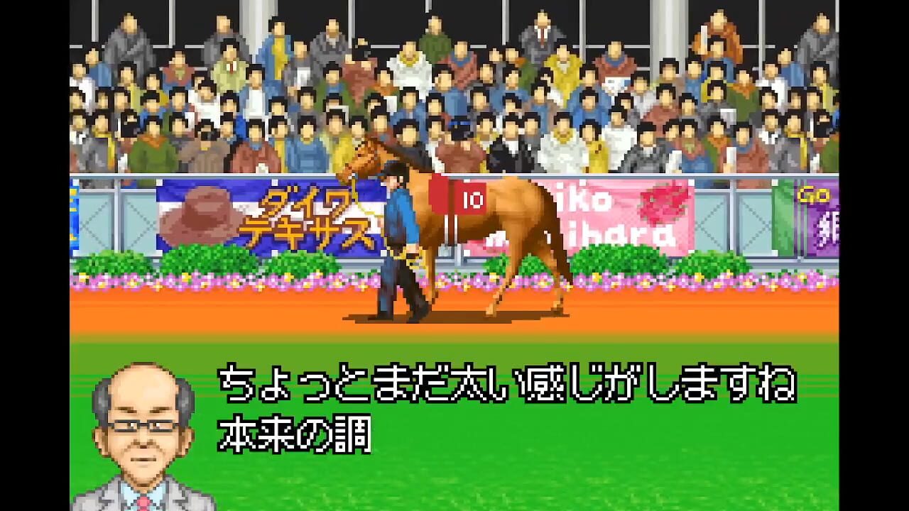Screenshot for Derby Stallion Advance